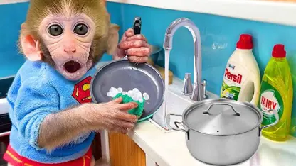 برنامه کودک بچه میمون - کاسه را می‌شوید برای سرگرمی