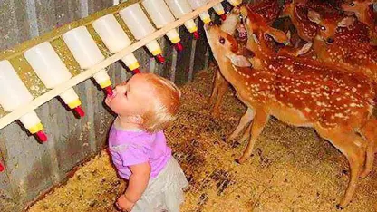 لحظات خنده دار از اولین حضور کودکان در مزرعه