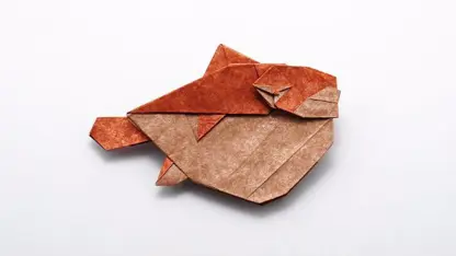 ماهی پافر اوریگامی در یک ویدیو
