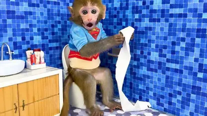 برنامه کودک بچه میمون - رول کاغذی در توالت