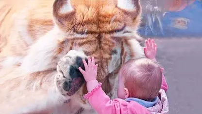 صحنه های خنده دار از کار های کودکان در باغ وحش حیوانات