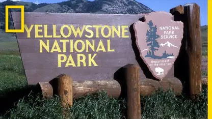 تاریخچه مختصری از پارک ملی یلوستون در نشنال جئوگرافیک