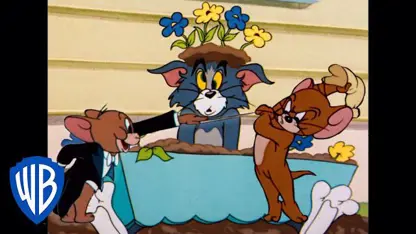 کارتون تام و جری با داستان - انتقام موش