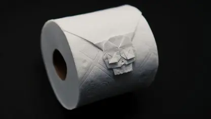 جمجمه با کاغذ توالت برای سرگرمی
