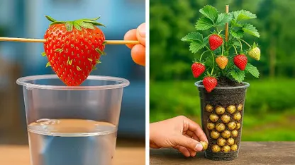 ترفند های 5 دقیقه ای - گیاهان سالم 🌿 برای سرگرمی