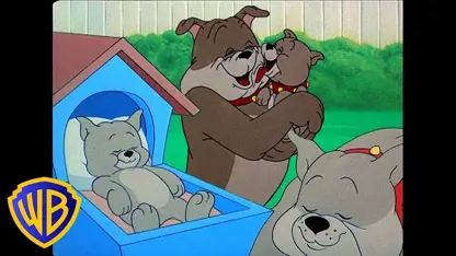 کارتون تام و جری این داستان - بابای سگی همیشه 🐶