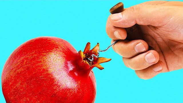 یادگیری ویدیویی 24 روش کاربردی برای میوه ارایی
