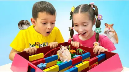 برنامه کودک پرنسس سوفیا این داستان - مرکز بازی برای همستر