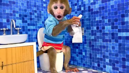 برنامه کودک بچه میمون - چالش تمیز کردن اتاق