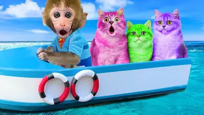 برنامه کودک بچه میمون - نجات بچه گربه ها برای سرگرمی