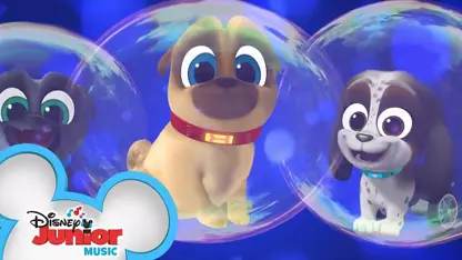 کارتون puppy dog pals این داستان "حباب های بزرگ"