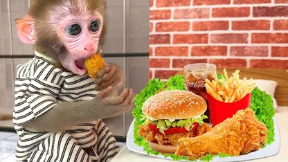 میمون در باغ غذا می خورد برای سرگرمی