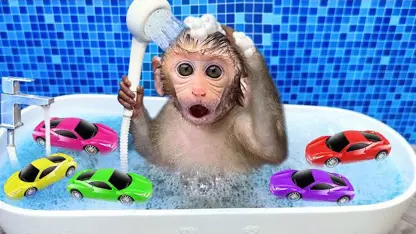 برنامه کودک بچه میمون - حال حمام کردن برای سرگرمی