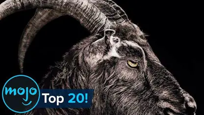 20 حیوان برتر فیلم های ترسناک در یک نگاه