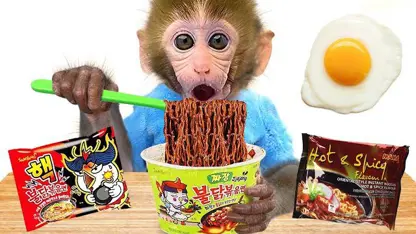 برنامه کودک بچه میمون - نودل از فروشگاه برای سرگرمی