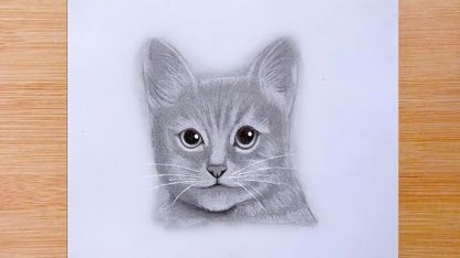 آموزش طراحی با مداد برای مبتدیان - نحوه کشیدن صورت گربه