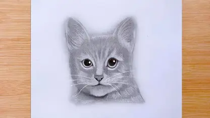 آموزش طراحی با مداد برای مبتدیان - نحوه کشیدن صورت گربه