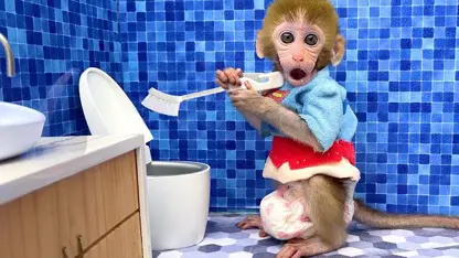 برنامه کودک بچه میمون - تمیز کردن توالت برای سرگرمی