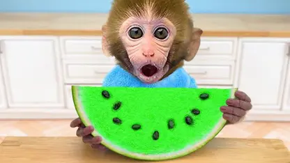 برنامه کودک بچه میمون - خوردن ژله هندوانه برای سرگرمی
