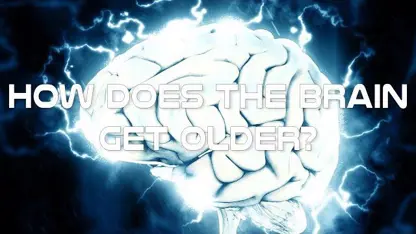 چگونه مغز ما بزرگتر و پیرتر می شود؟