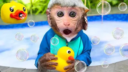 برنامه کودک بچه میمون - حمام با اسباب بازی برای سرگرمی