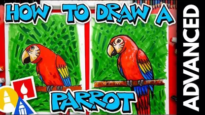آموزش نقاشی به کودکان - طوطی در یک نگاه