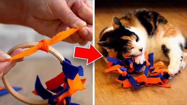 روش ساخت اسباب بازی برای حیوانات در چند دقیقه