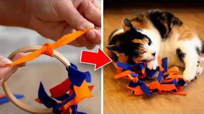 ترفند ساخت اسباب بازی برای حیوانات در چند دقیقه