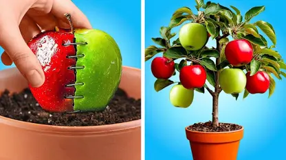 ترفند های 5 دقیقه ای - 🌱 15 هک باغبانی برای سرگرمی