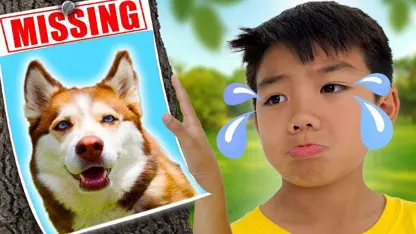 سرگرمی های کودکانه این داستان - سگ گم شده خانگی