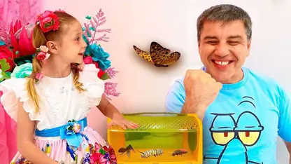 استیسی و بابایی این داستان - یادگیری حشرات