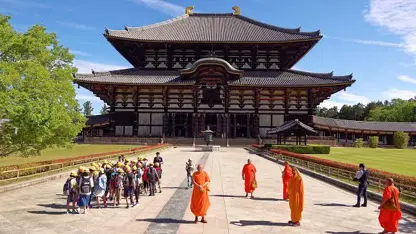 نارا پایتخت قدیم ژاپن از بهترین مکان های گردشگری