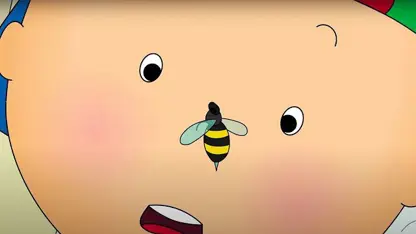 کارتون کایلو این داستان - کایلو و زنبور عسل