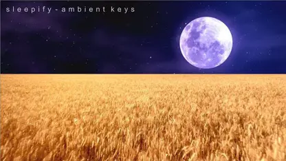 موسیقی آرام بخش پیانو "ambient keys" برای مدیتیشن