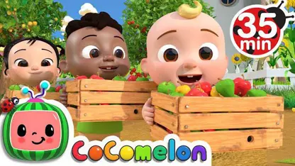 ترانه کودکانه کوکوملون - شمردن با سیب برای آموزش