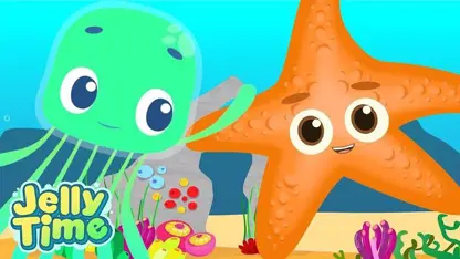 کارتون jelly time این داستان "با ستاره دریایی ملاقات کنید"