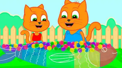 کارتون خانواده گربه این داستان - قالب برای orbiz رنگی