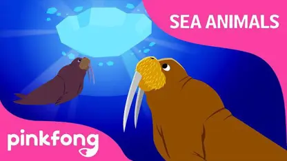 کارتون موزیکال پینک فونگ با داستان " حیوانات دریایی"