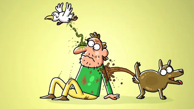 داستان زندگی یک مرد بیخانمان