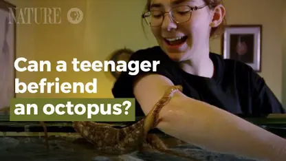 ویدیویی دیدنی از دوستی یک نوجوان و اختاپوس
