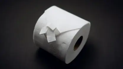 آموزش اوریگامی - کاغذ توالت اوریگامی 2 برای سرگرمی