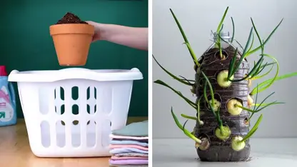 14 ترفند هوشمندانه برای رشد گیاه در یک نگاه