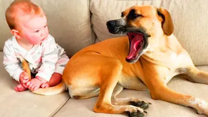 لحظه های خنده دار کودک و سگ در چند دقیقه