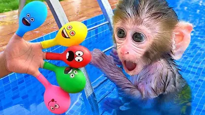 برنامه کودک بچه میمون - سرگرمی در فضای باز