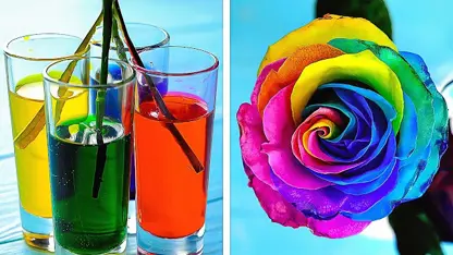 ترفند های خلاقانه - 30 هدیه گل زیبا برای سرگرمی