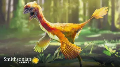 مستند حیات وحش - فسیل پرندگان دایناسور