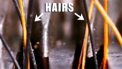 حرکت آهسته - کات کردن موها با ماشین اصلاح