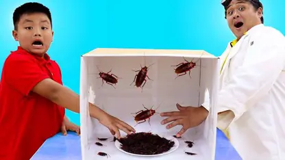 سرگرمی های کودکانه این داستان - بازی با حشرات
