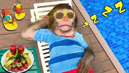 برنامه کودک بچه میمون - کنار استخر خوابیده برای سرگرمی