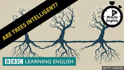 آموزش زبان انگلیسی در 6 دقیقه - آیا درختان باهوشند؟